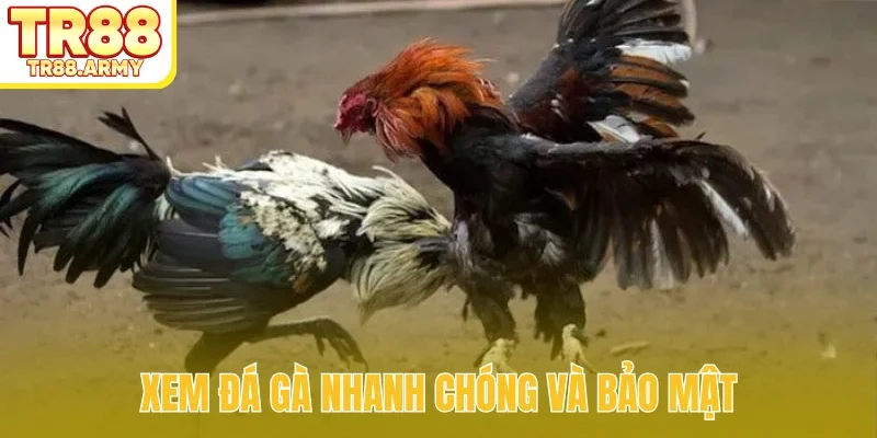 Xem đá gà nhanh chóng và bảo mật